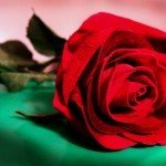 Texto motivacional – Verdade e falsidade