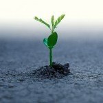 Texto motivacional – Vida nova