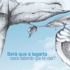 Vídeo e Texto motivacional – Borboleta Vídeo e Texto motivacional – Borboleta