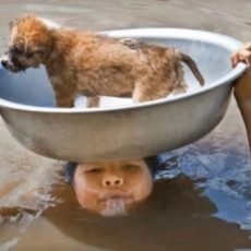 Motivacional – Histórias Reais Emocionantes Motivacional – Histórias Reais Emocionantes