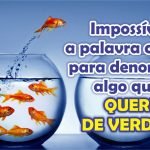 Como receber vídeos motivacionais todos os dias!