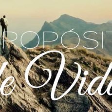 O valor do propósito de vida