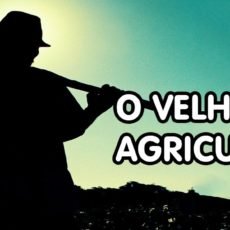 O Velho Agricultor! ou Como a CRIATIVIDADE pode VENCER qualquer OBSTÁCULO
